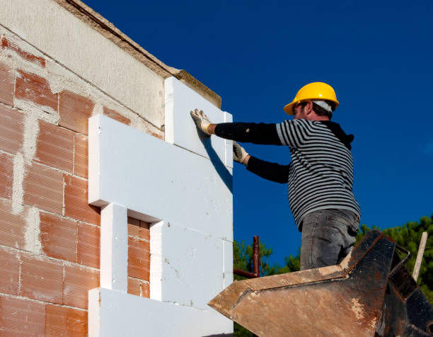 Best Eco-Friendly Insulation in Pine Hill, NJ